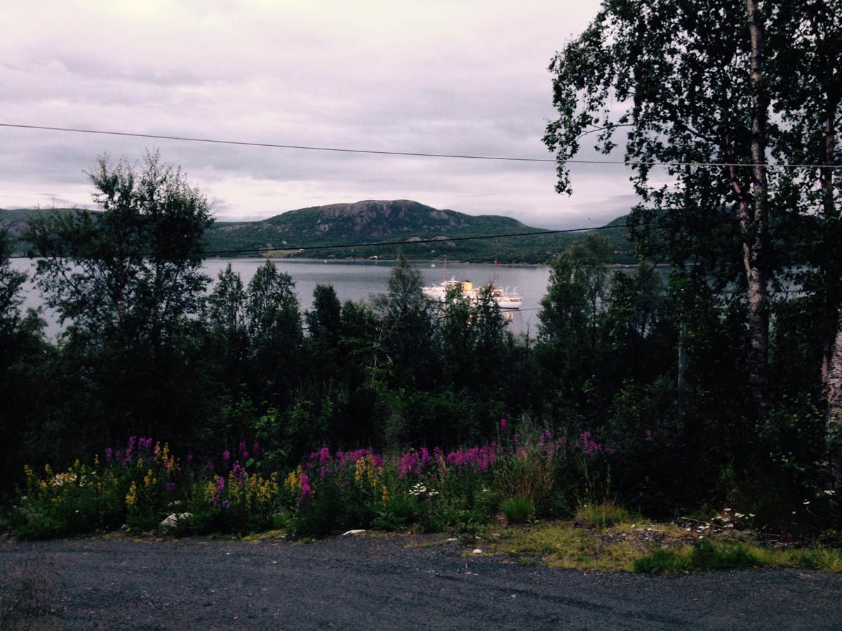 Jarfjord Arctic Aurora Lodge Karpbukt Buitenkant foto